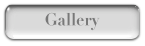 galleryup